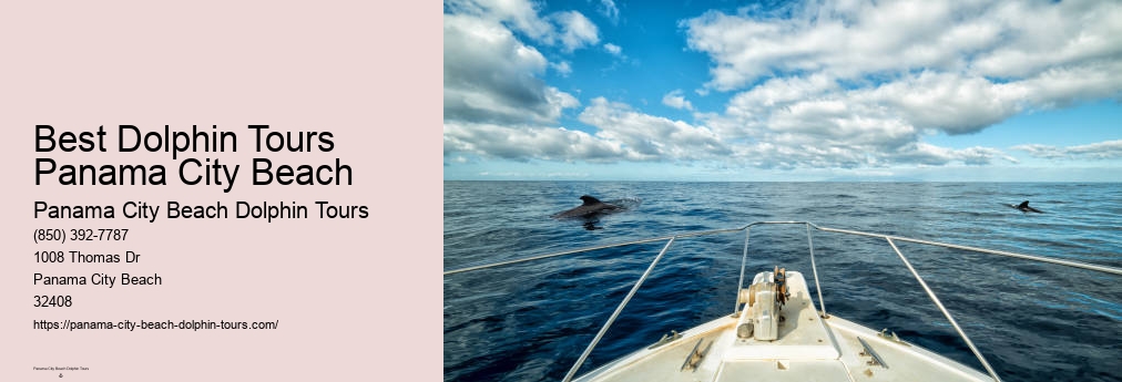 Dolphin Tour Panama Beach