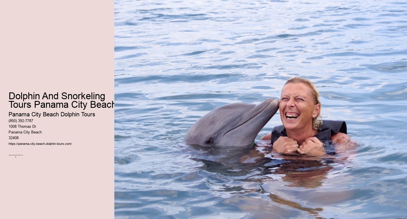 Dolphin And Snorkeling Tours Panama City Beach