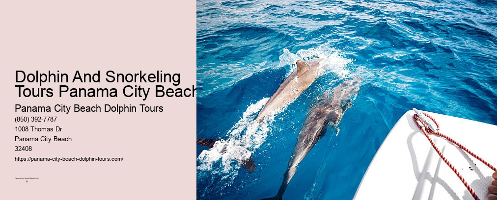 Santa Rosa Beach Dolphin Tours