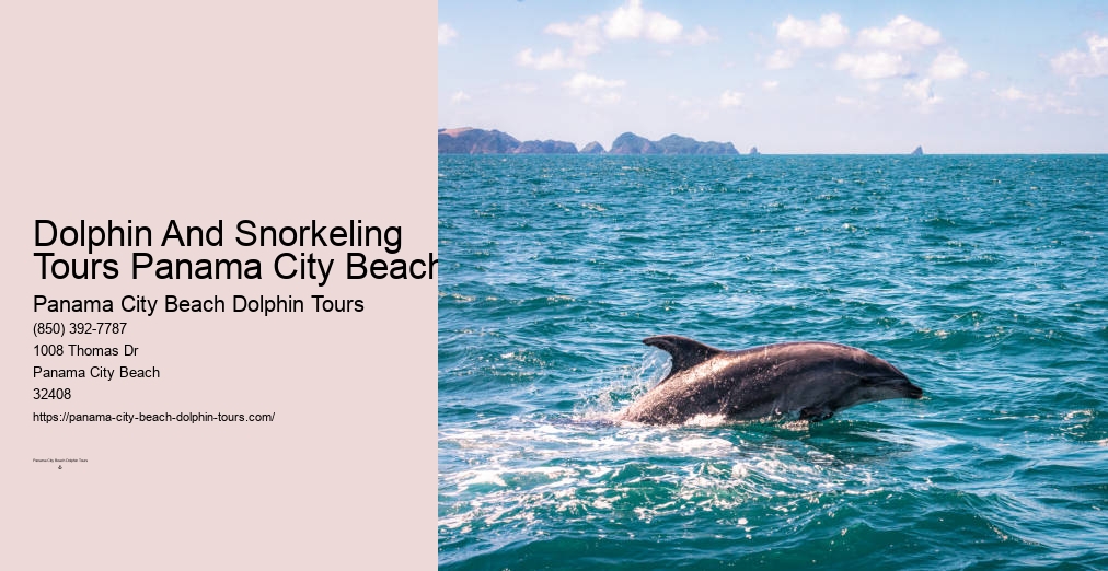 Panama City Beach Private Dolphin Tours