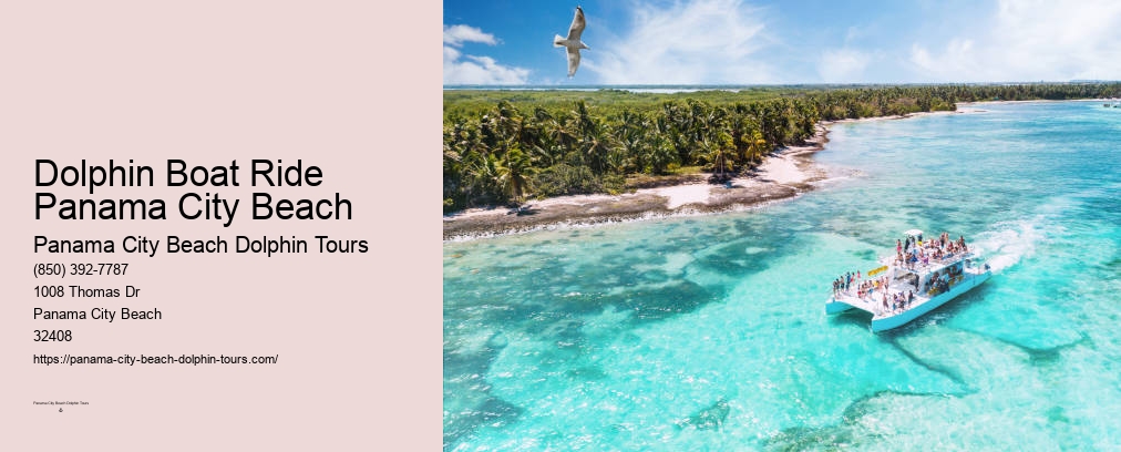 Panama City Beach Dolphin Snorkel