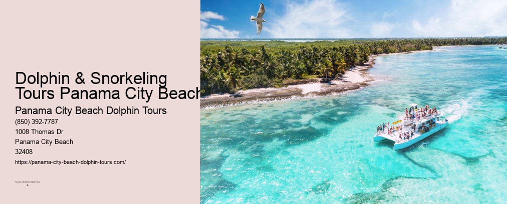 Dolphin Cruises Panama City Beach