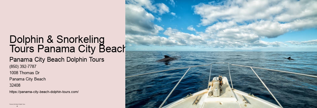 Shell Island Dolphin Tours Panama City Beach