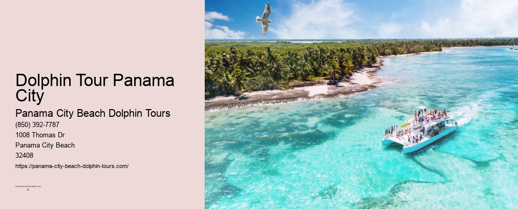 Shell Island Panama City Fl