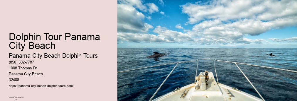Dolphin Tours Panama City Beach Florida