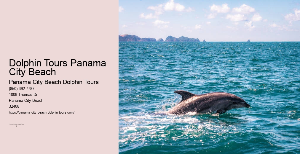Panama City Beach Private Dolphin Tours