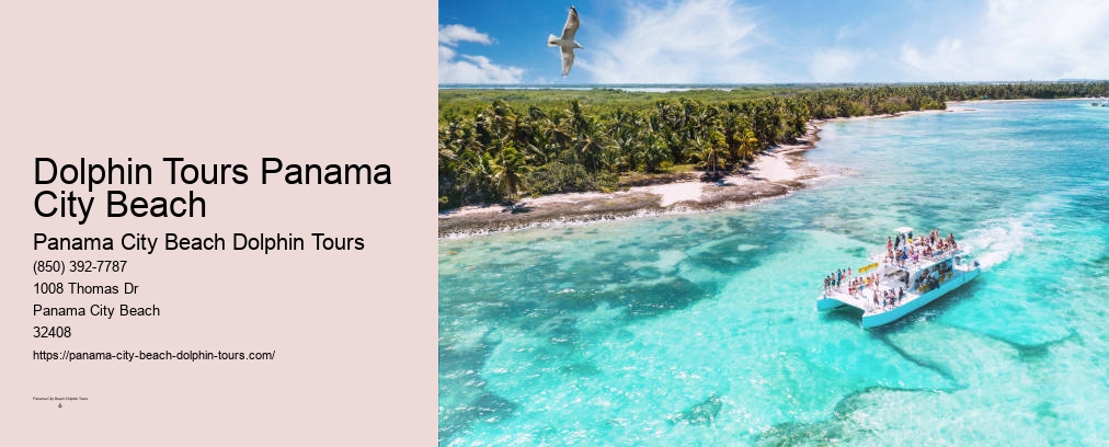 Panama City Beach Florida Dolphin Tours