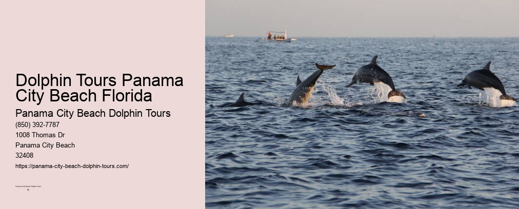 Panama City Beach Dolphin Sunset Cruise