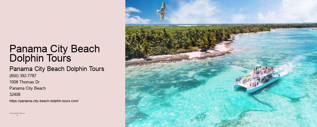 Sunset Dolphin Cruise Panama City Beach