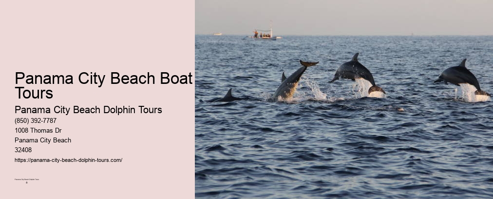 Panama City Beach Dolphin And Snorkeling Tours