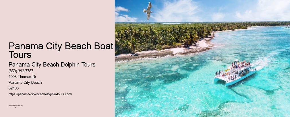 Dolphin & Snorkeling Tours Panama City Beach