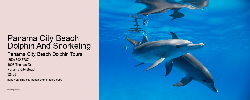 Panama City Beach Shell Island Cruise