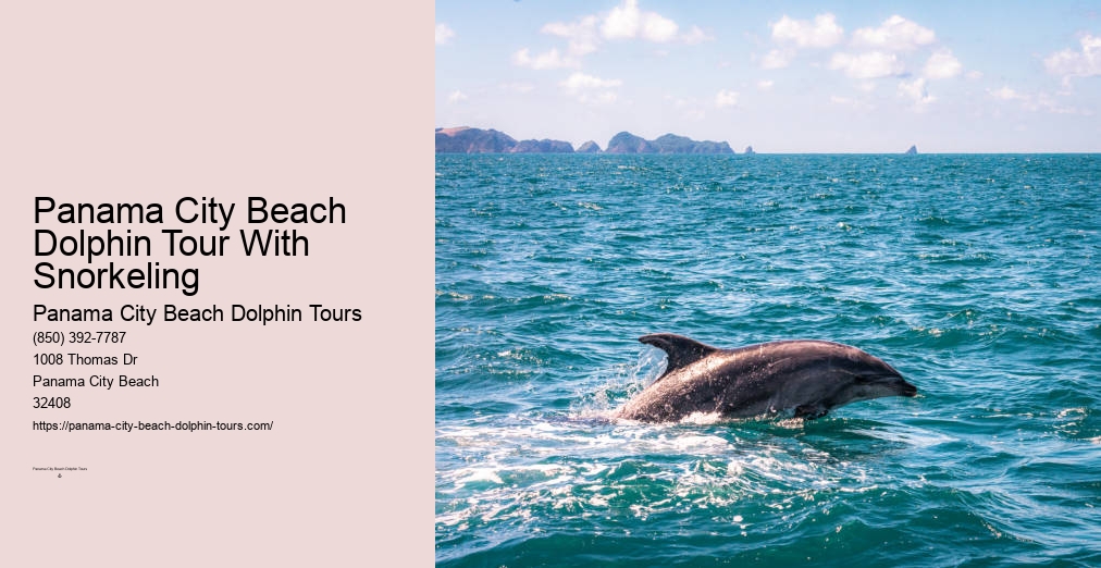 Dolphin Boat Ride Panama City Beach