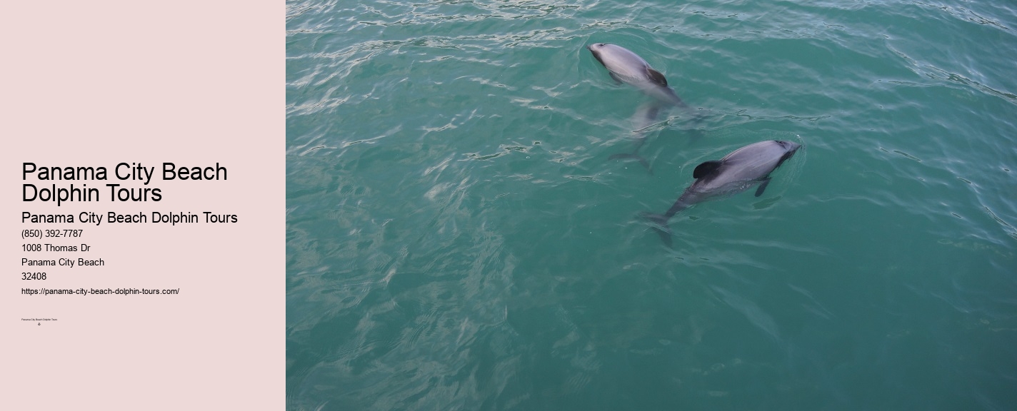 Dolphin Watching Panama City Beach
