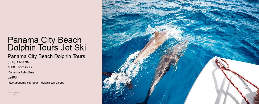 Dolphin Boat Ride Panama City Beach