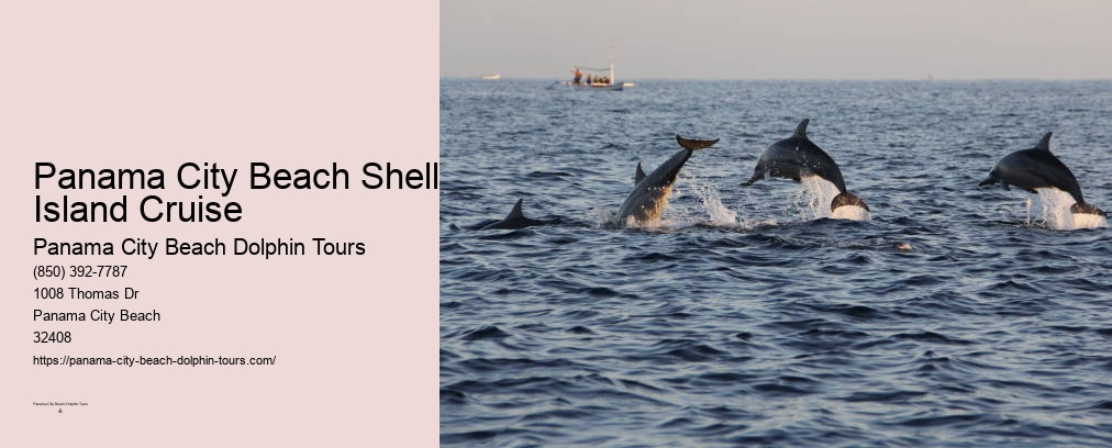 Panama City Beach Private Dolphin Tours