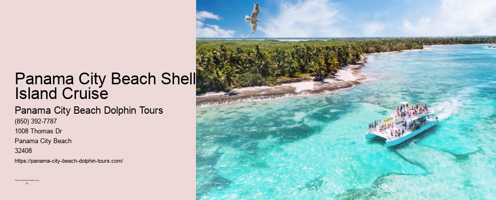 Swim With Dolphins Panama City Beach Shell Island