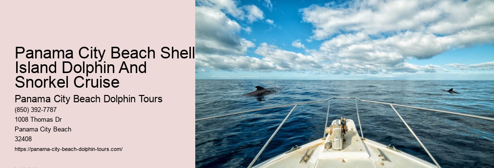 Shell Island Dolphin Cruise Panama City Beach