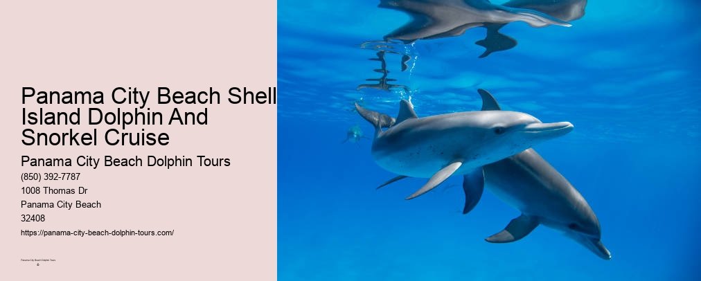 Aquariums In Panama City Beach Florida