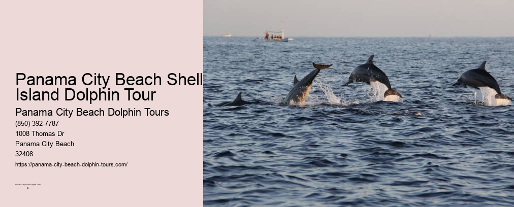 Panama City Dolphin Cruise