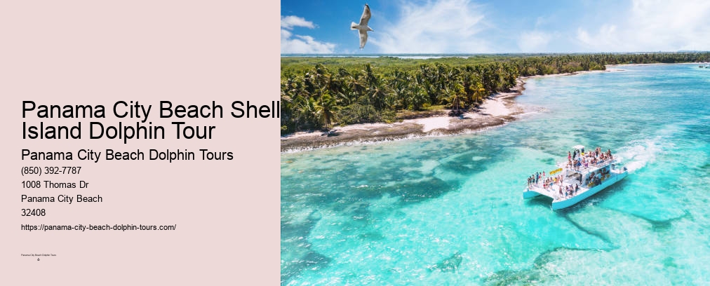 Panama City Beach Dolphin Tour With Snorkeling