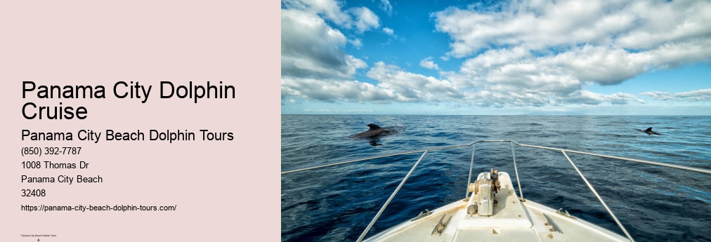 Panama City Beach Dolphin Show