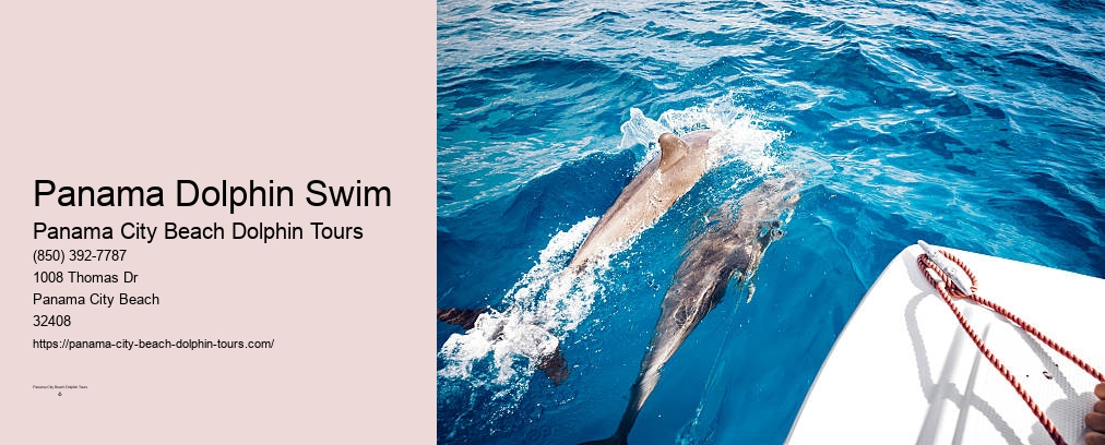 Panama City Beach Dolphin Sunset Cruise