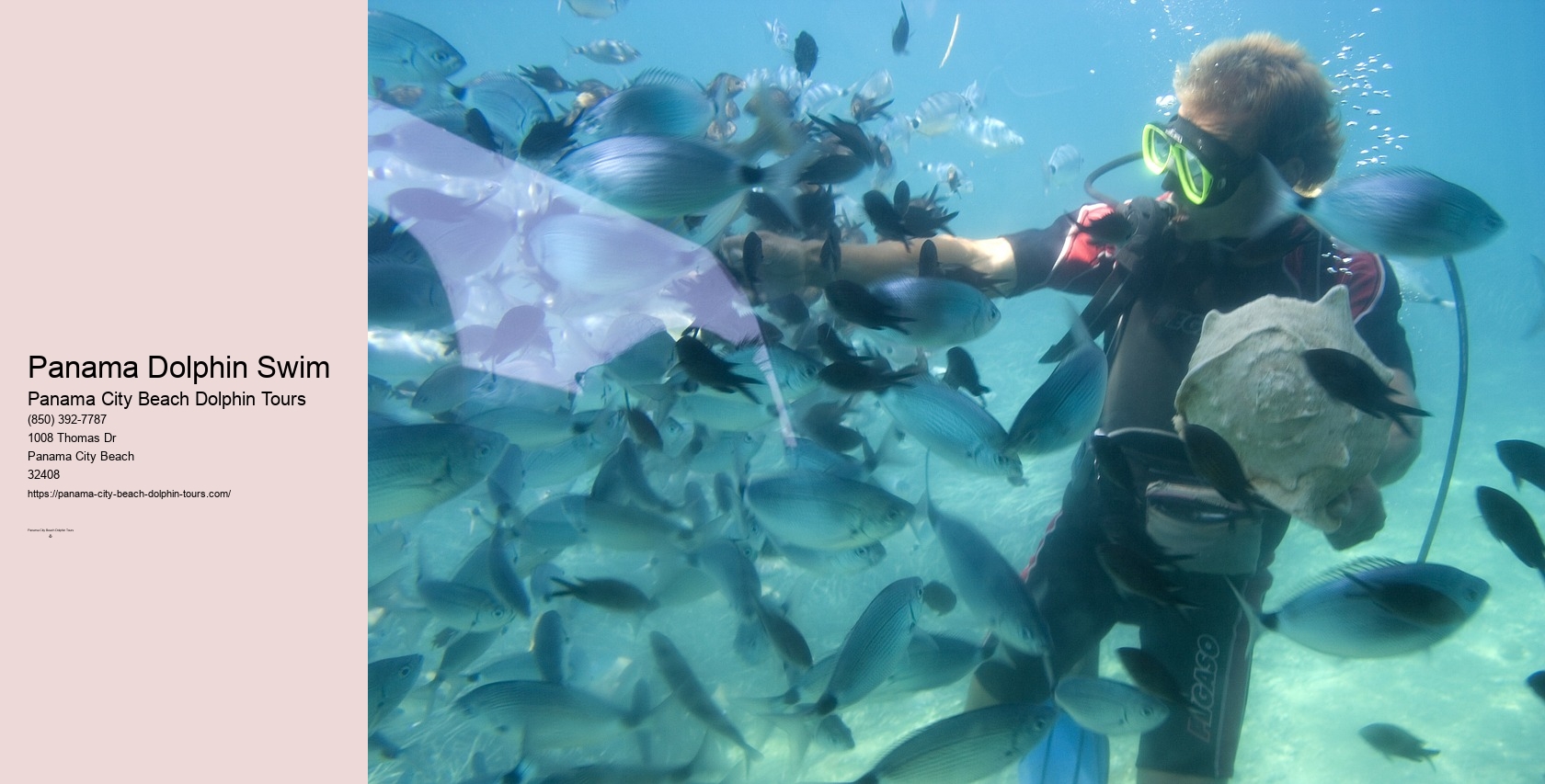 Dolphin Boat Tour Panama City Beach
