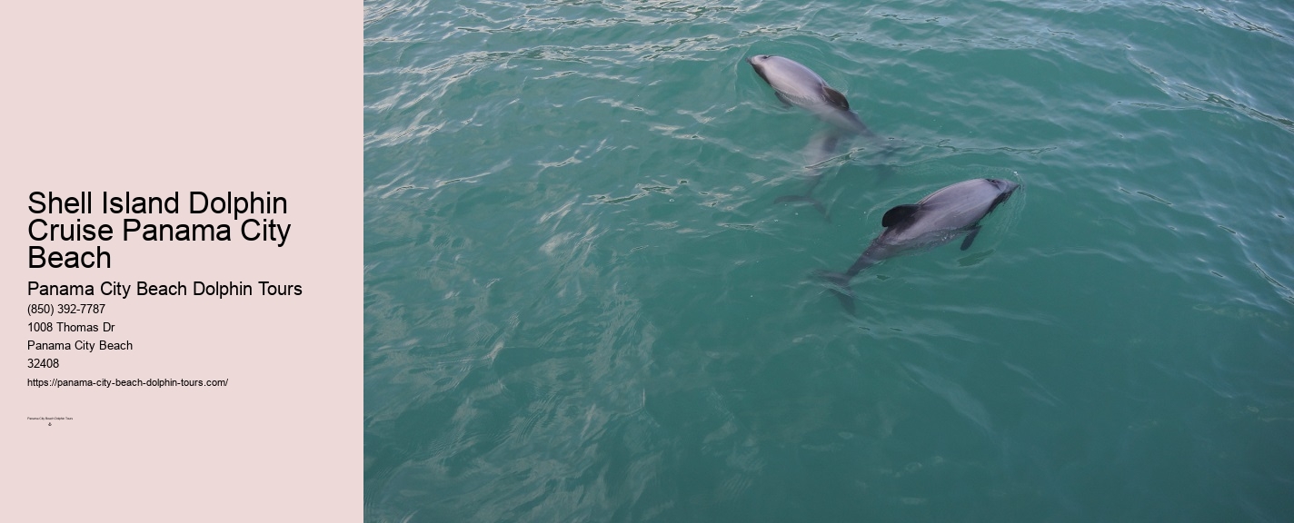 Dolphin Jet Ski Tour Panama City Beach