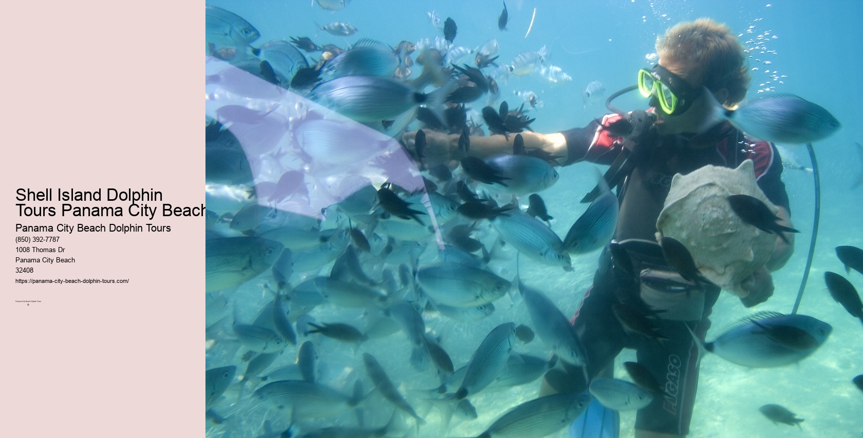 Panama City Beach Florida Dolphin Tours