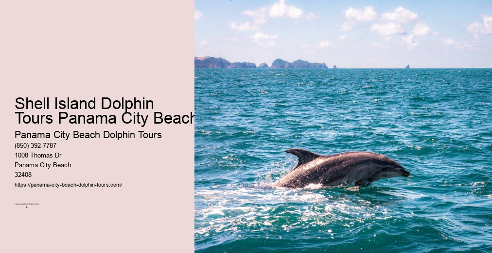 Panama City Beach Dolphin And Snorkel Tours