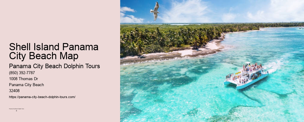 Dolphin Tours Panama City Beach Florida