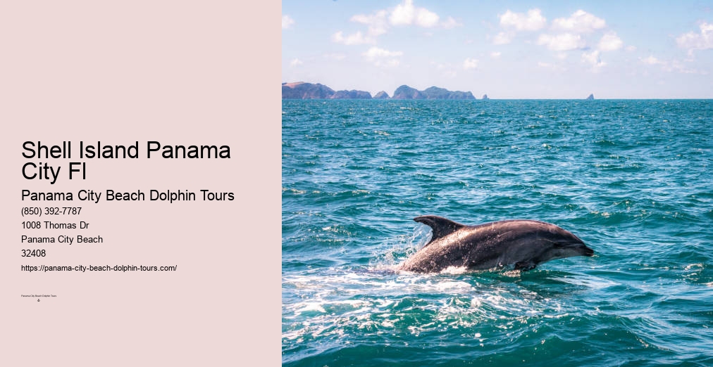 Panama City Beach Dolphin And Snorkeling Tours
