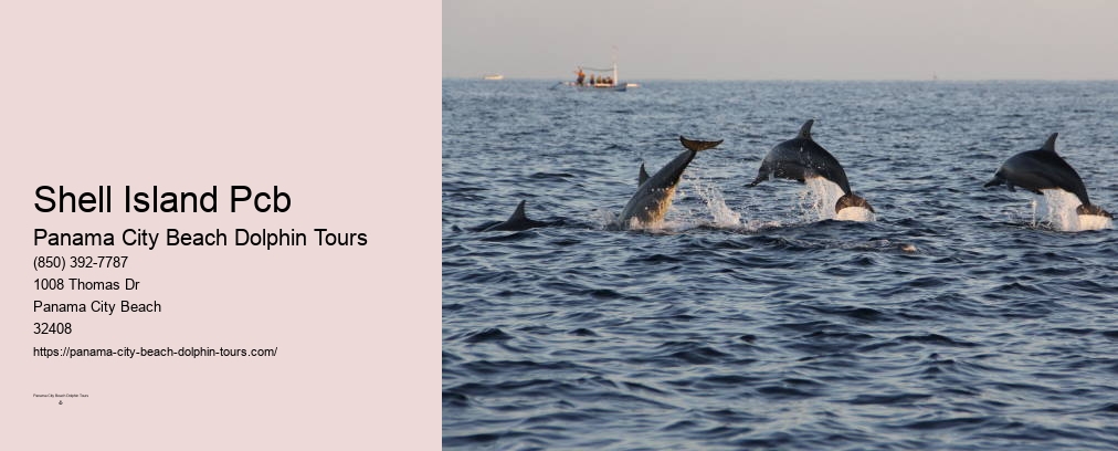 Snorkeling Panama City Beach