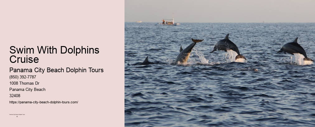 Panama City Beach Dolphins