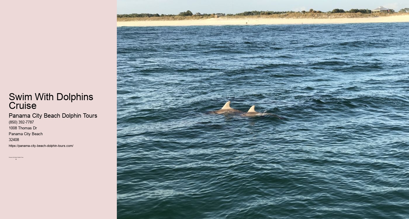 Panama City Beach Dolphin Tours & More