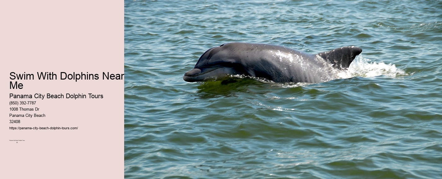 Pcb Dolphin Tours