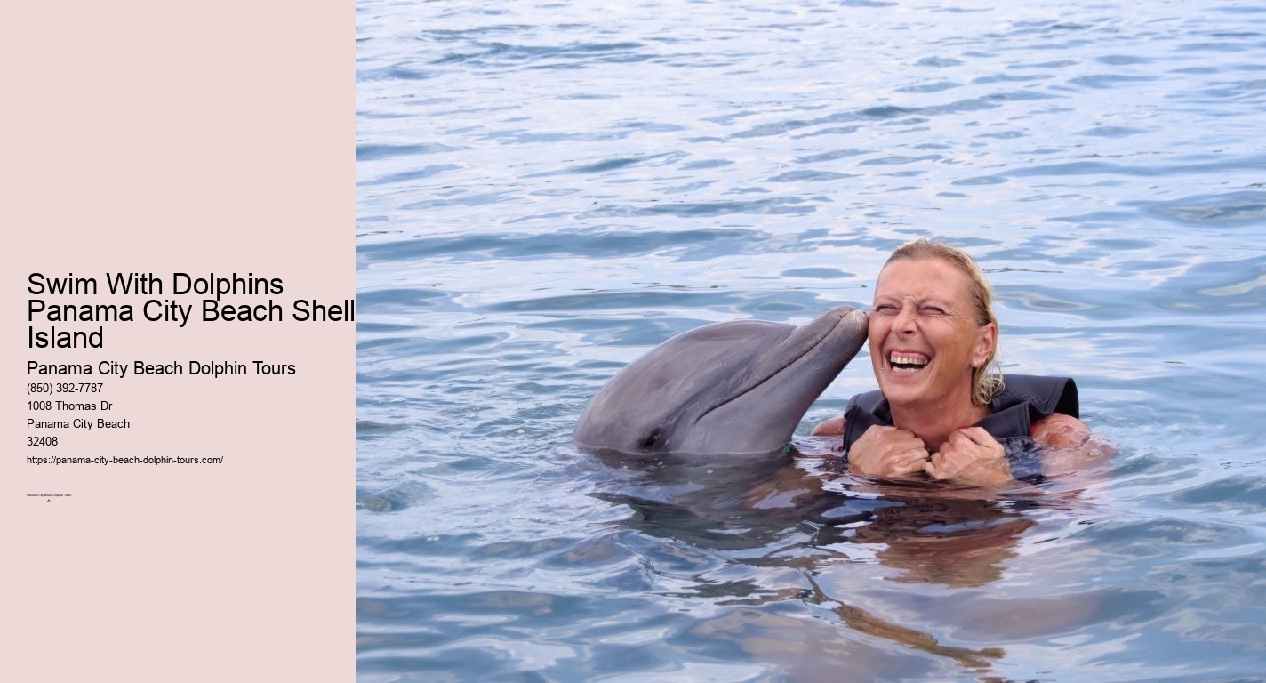 Swim With Dolphins Panama City Beach Shell Island