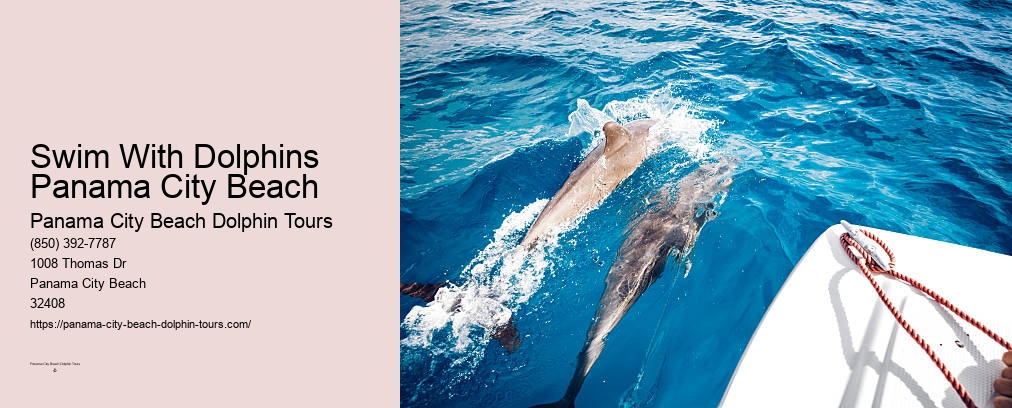 Shell Island Dolphin Tours Panama City Beach