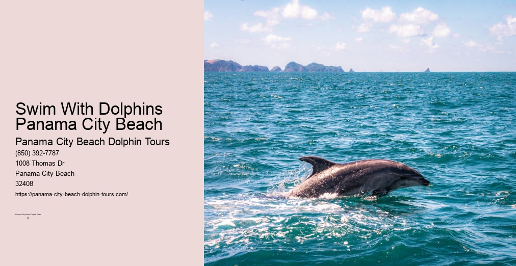 Dolphin Cruise Panama City Fl