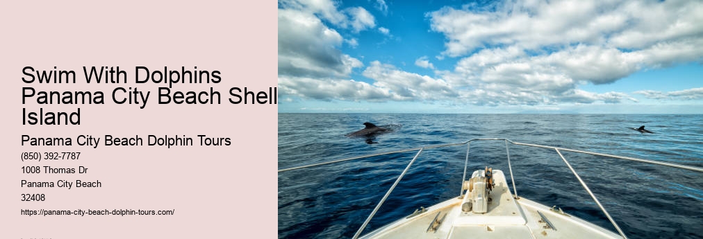 Dolphin & Snorkeling Tours Panama City Beach