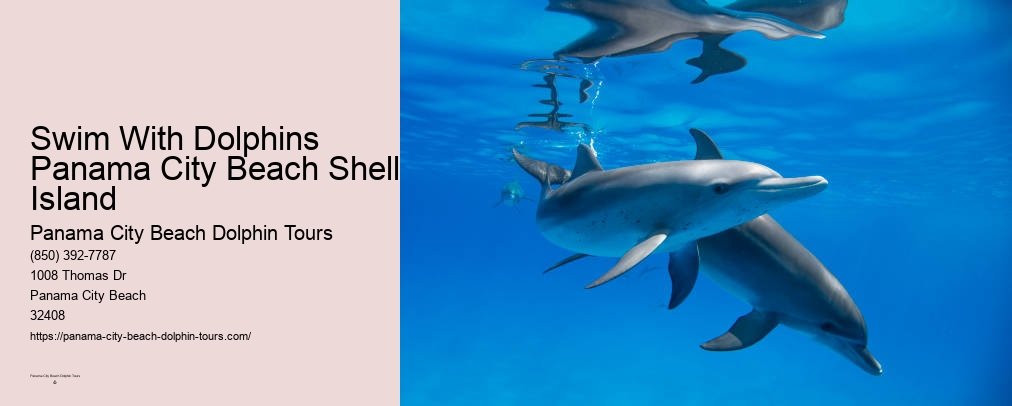 Dolphin Encounters Panama City Beach