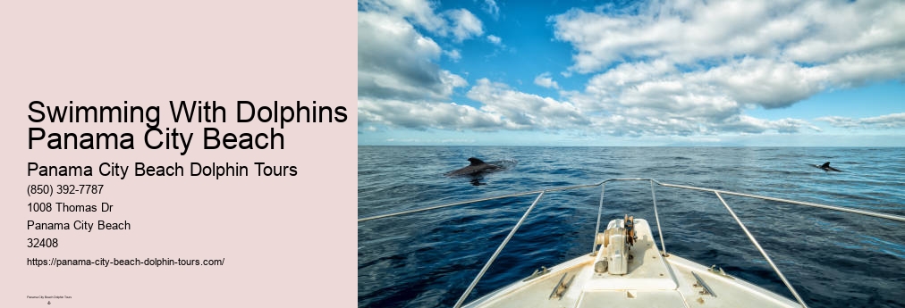 Panama City Beach Private Dolphin Tours